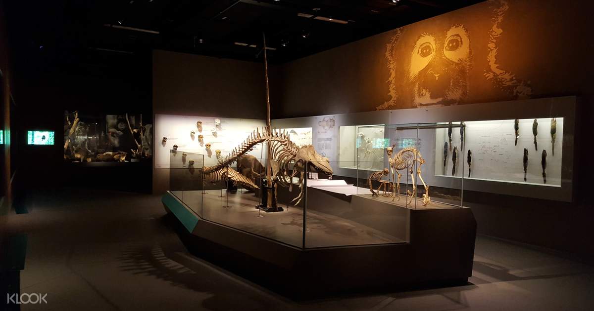 lee kong chian dinosaur